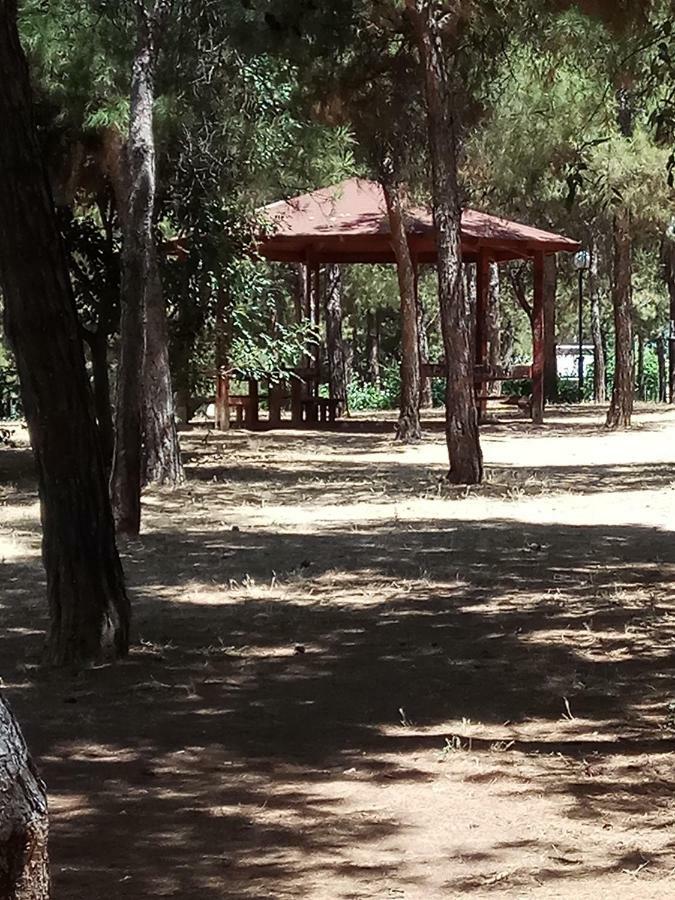 Athens 140 Apartment Екстериор снимка